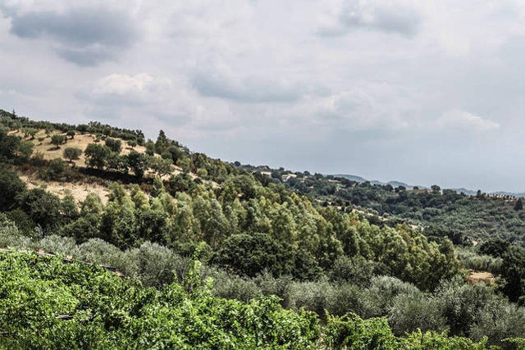 Agriturismo Miracco Atanasio Franco "Il Maniero" Santa Sofia d'Epiro Zewnętrze zdjęcie