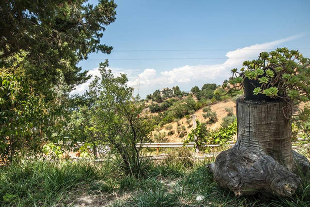 Agriturismo Miracco Atanasio Franco "Il Maniero" Santa Sofia d'Epiro Zewnętrze zdjęcie