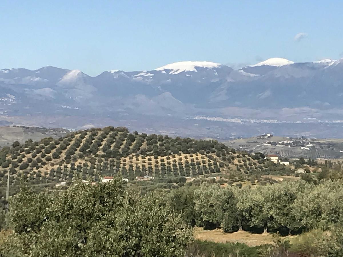 Agriturismo Miracco Atanasio Franco "Il Maniero" Santa Sofia d'Epiro Zewnętrze zdjęcie